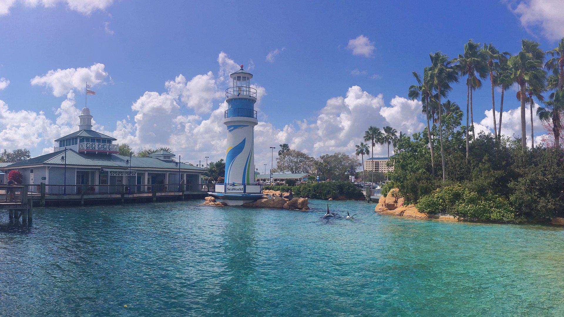 Farol listrado de azul e branco à beira de uma lagoa de água turquesa, com palmeiras e construções baixas, na área de entrada do SeaWorld Orlando