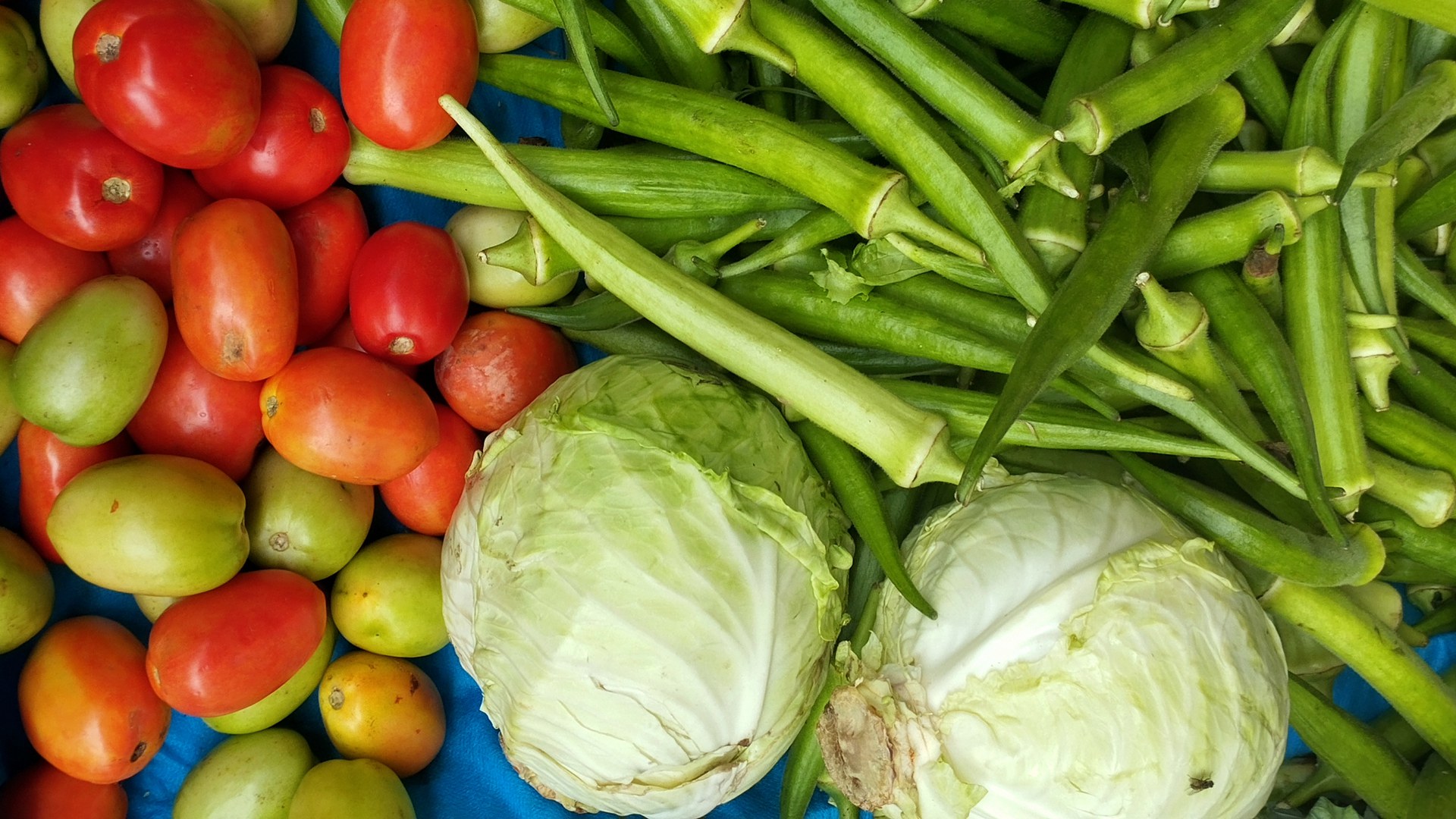 Banca de feira livre vista de cima, com tomates maduros e verdes, quiabos e dois repolhos sobre uma lona azul