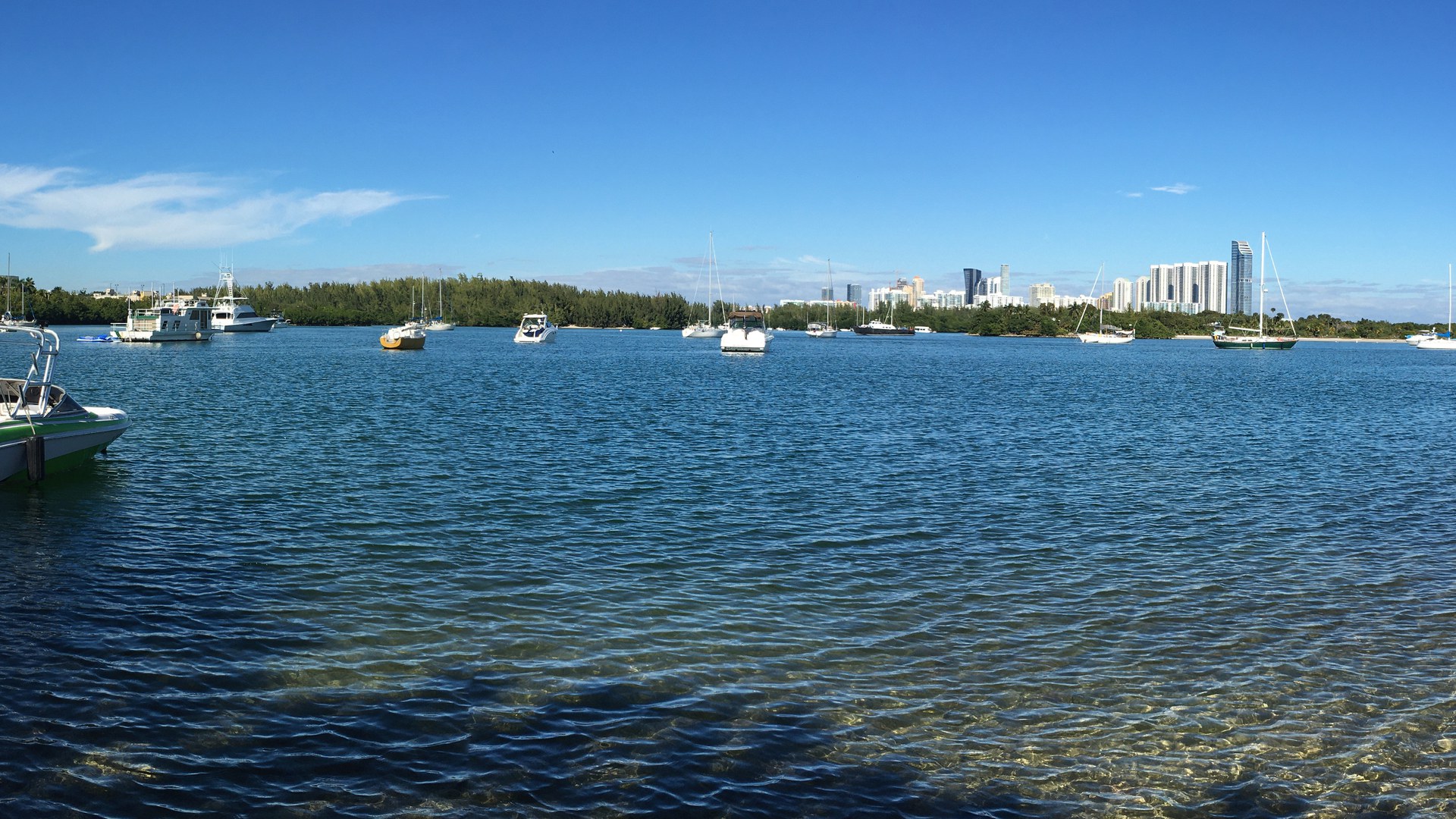 Barcos ancorados na baía de Biscayne, com o mangue na margem e os prédios residenciais de Sunny Isles Beach, perto de Miami, no horizonte, sob céu azul